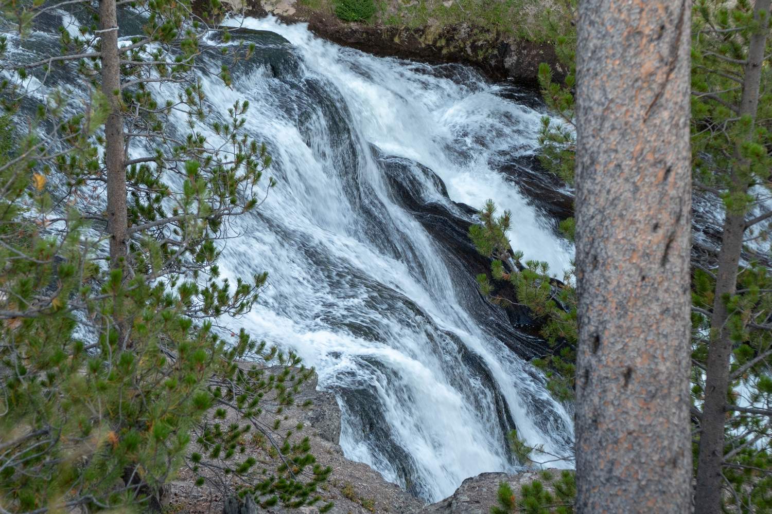 Gibbon Falls sliding down a rock face beside the road.
