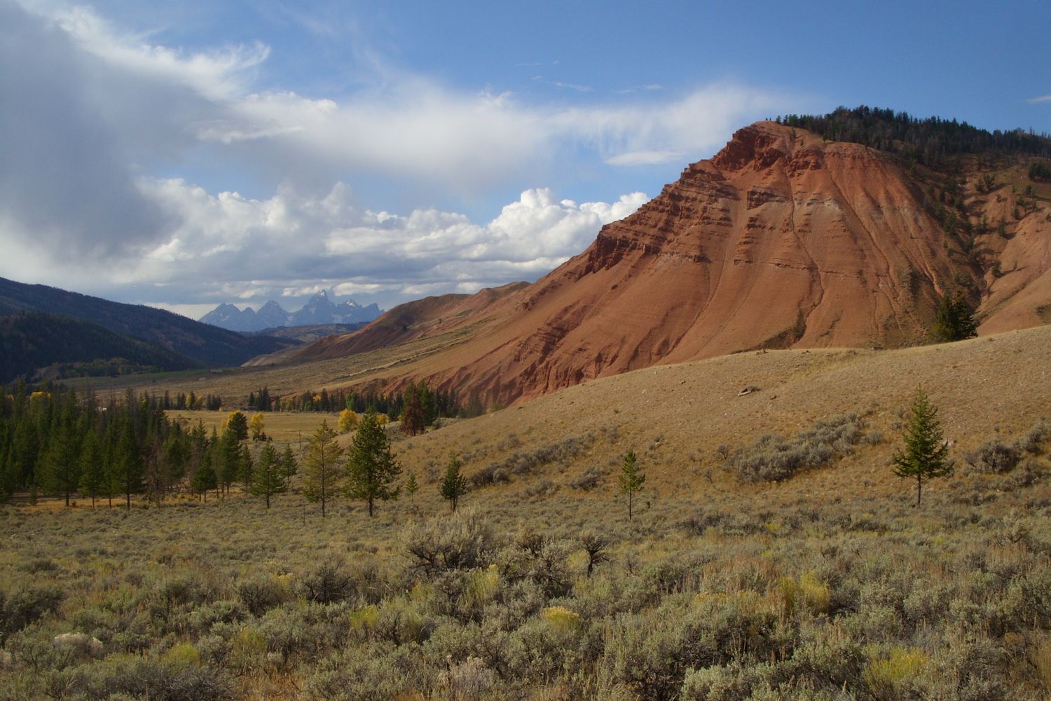 A trail climbing through open country in the Gros Ventre Wilderness.