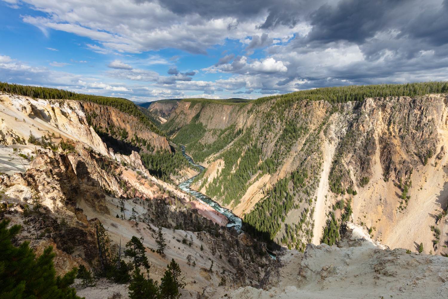 The Grand Canyon of the Yellowstone from Inspiration Point, yellow walls and the river below.