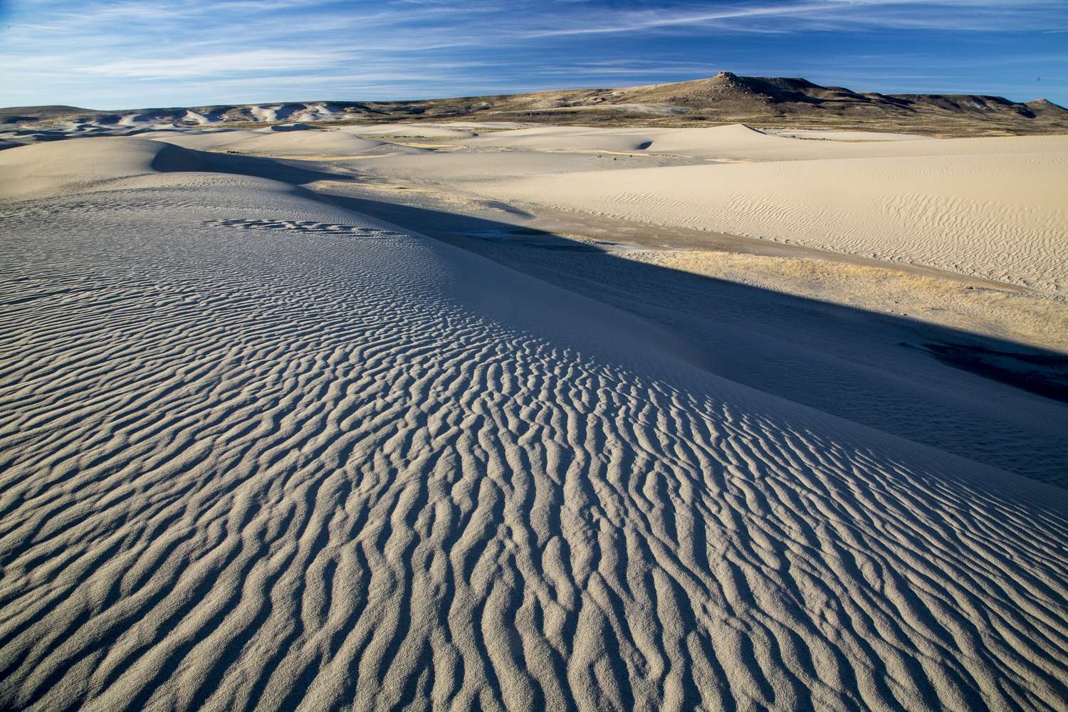Wind-rippled sand at the Killpecker dunes with the desert beyond.